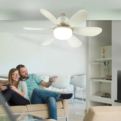 Ventilateur LED 2en 1